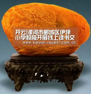 开云体育入口