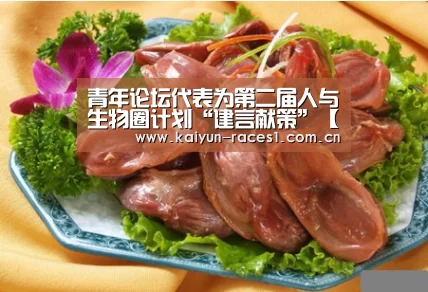 开云体育入口