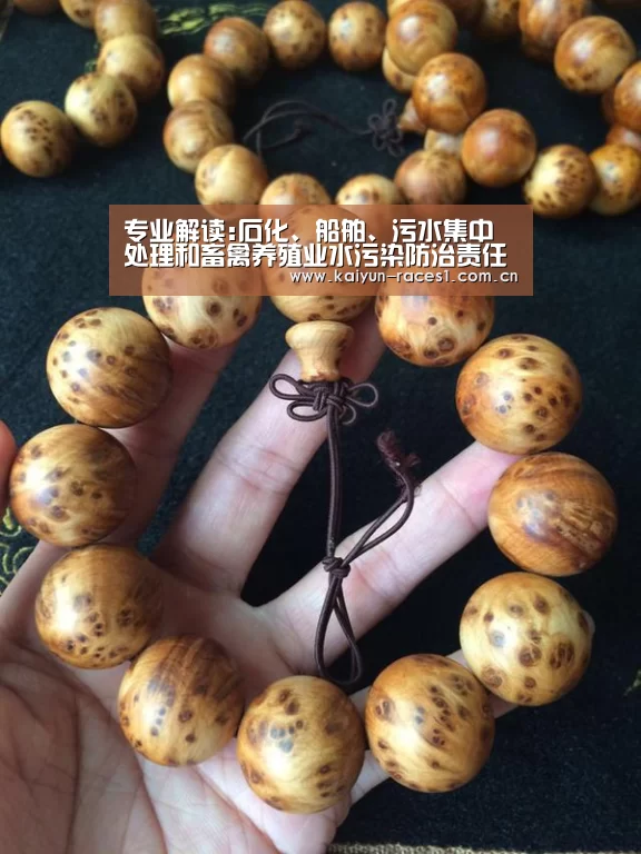 开云体育入口