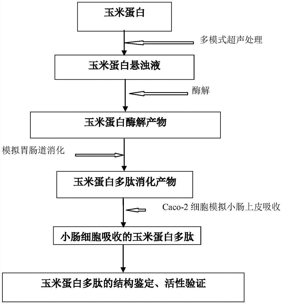 开云体育入口