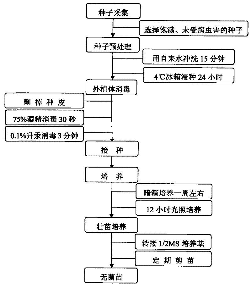 开云