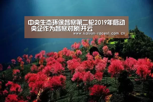开云体育入口