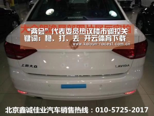 “两会”代表委员热议楼市调控关键词：稳、打、去-开云体育下载(图2)