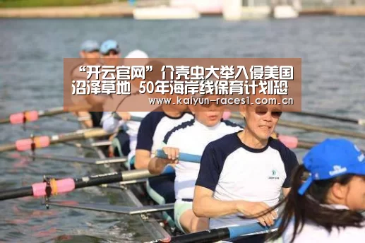 开云体育入口